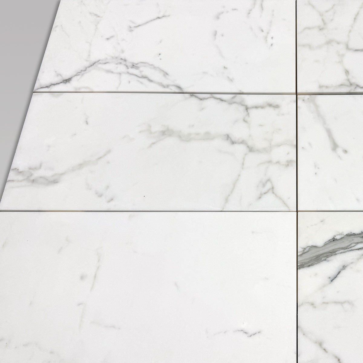 Calacatta Gold Honed 12"x24" Marble Tile