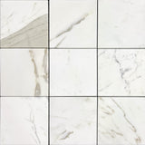 Calacatta Gold Honed 12"x12" Marble Tile