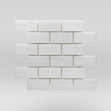 Dolomite Polished 2"x4" | Marble Mosaic | Brick | BigAppleMarble.com